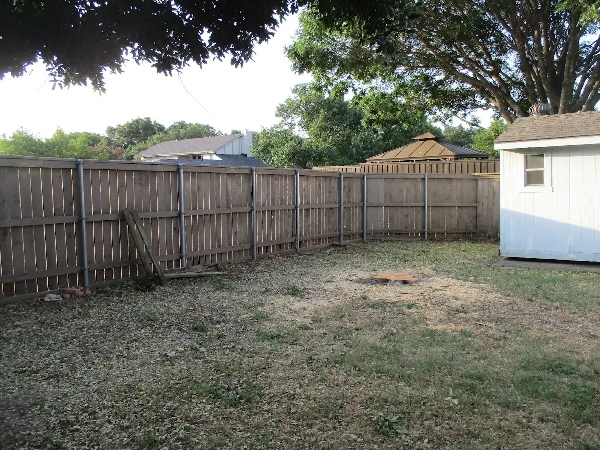 Cleared yard after professional tree removal in Shawnee