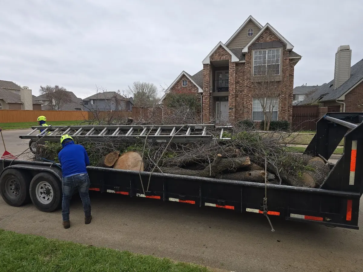 Expert Lot Clearing with proper safety equipment in Shawnee